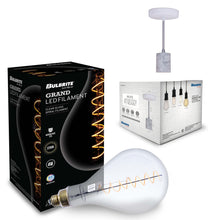 Pendants with LED Bulbs 810174