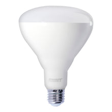R Base Bulb R/BR Shape – Bulbrite