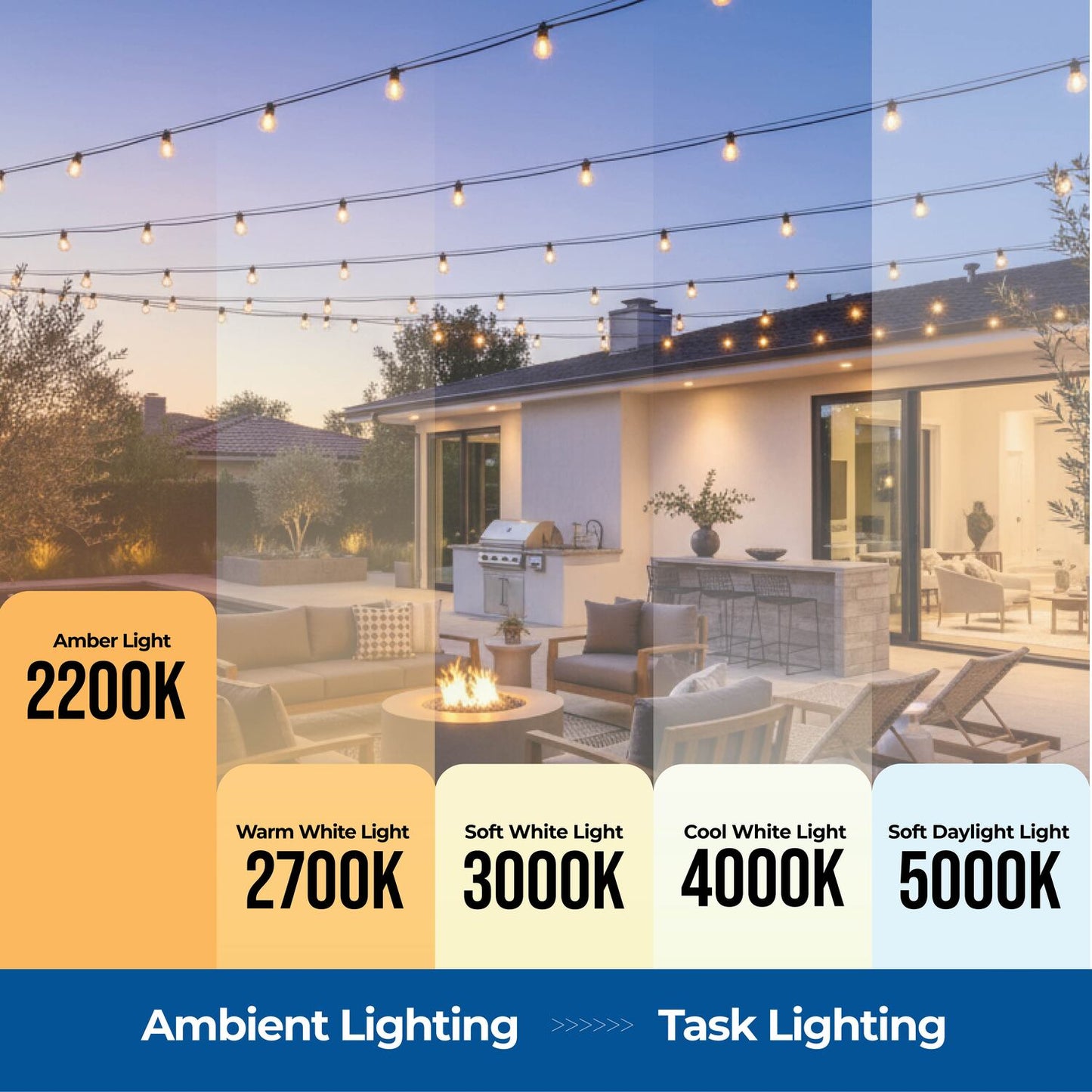String Lights 810004