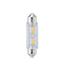 Specialty Minis 12V/24V 770613