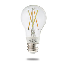 SMART LED Filaments California Compliant 290010