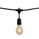 String Lights 810004