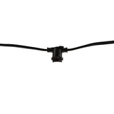 String Lights 812480