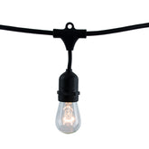 String Lights 812312