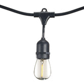 String Lights 812313
